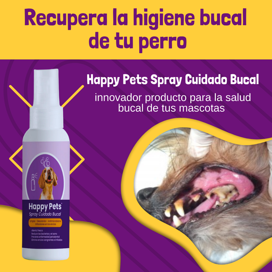 HAPPY PETS - Blanqueamiento Canino