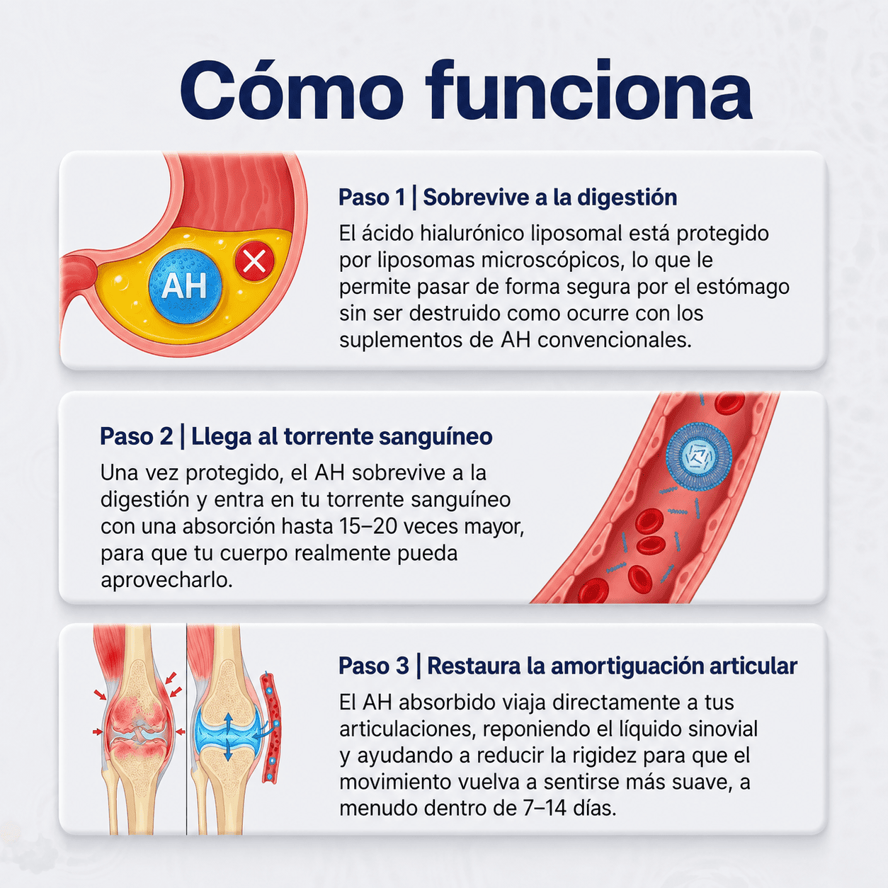 Ácido Hialurónico Liposomal