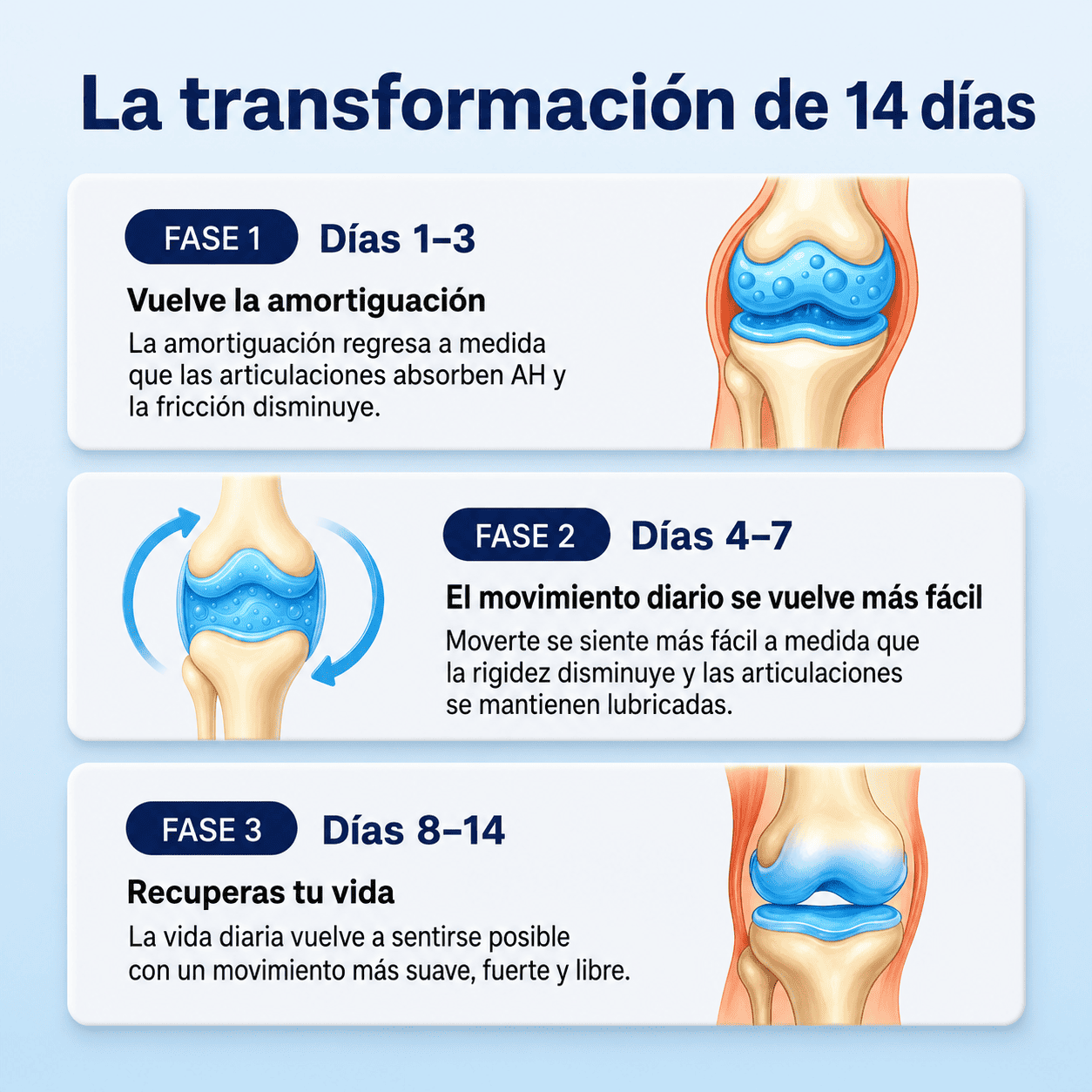 Ácido Hialurónico Liposomal